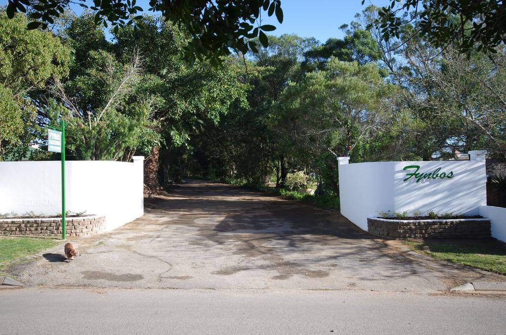Fynbos Guest House Riversdale Eksteriør billede