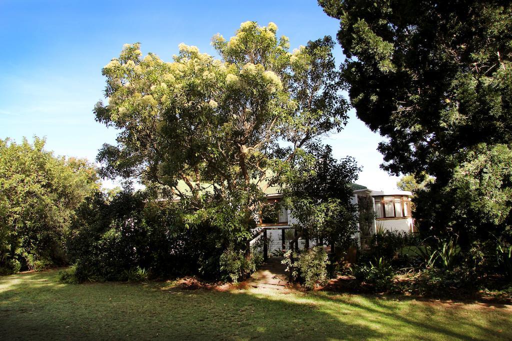 Fynbos Guest House Riversdale Eksteriør billede